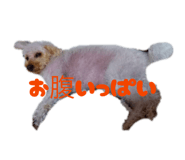 825614234