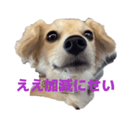825618705