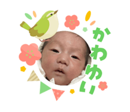 825629641