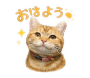 825631810
