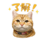 825631815