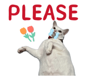 825635353