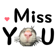 825635358