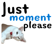 825635361