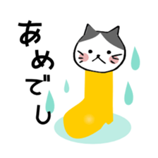 82566