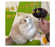 825661857