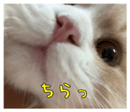 825661871