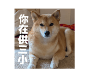 825673457