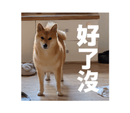 825673458