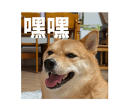 825673467