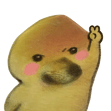 ลายที่ 5