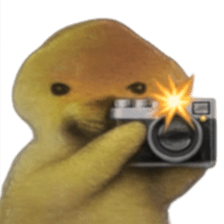 ลายที่ 21