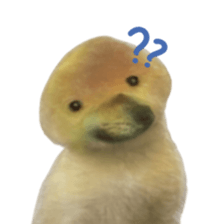 ลายที่ 37