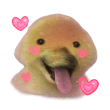 ลายที่ 39