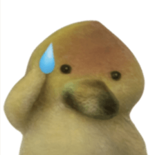 ลายที่ 41