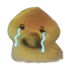 ลายที่ 47