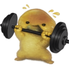 ลายที่ 61