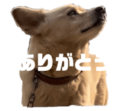 825752388