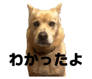 825752394