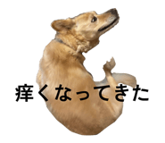 825752395