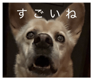 825752397