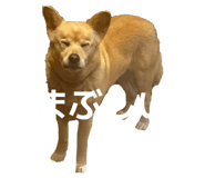 825752398