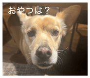 825752400