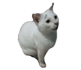 825799865