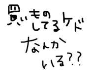 825810204