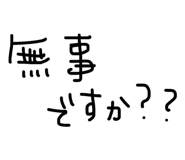 825810206