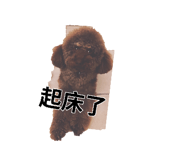 825811849