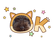 825811858
