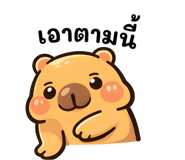 825812531