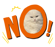 825837003