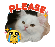 825837010