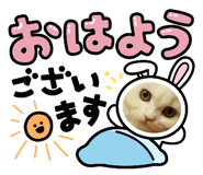 825837015