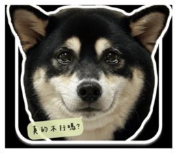 825840619