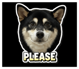825840627