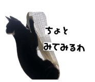 825845298