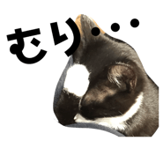 825845302