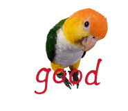 825855091