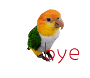 825855094