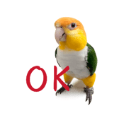 825855095