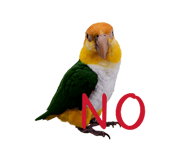 825855096