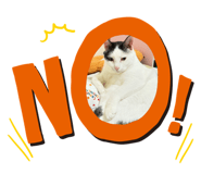 825858182