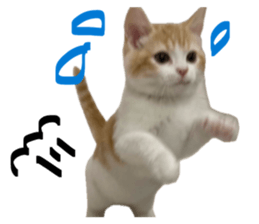 825858373