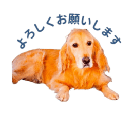 825859958