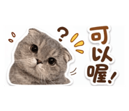 825863016