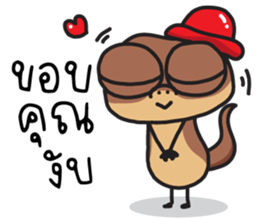 ลายที่ 11