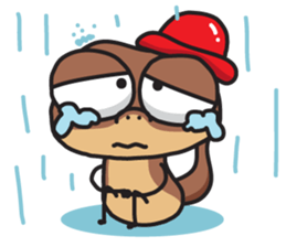 ลายที่ 17